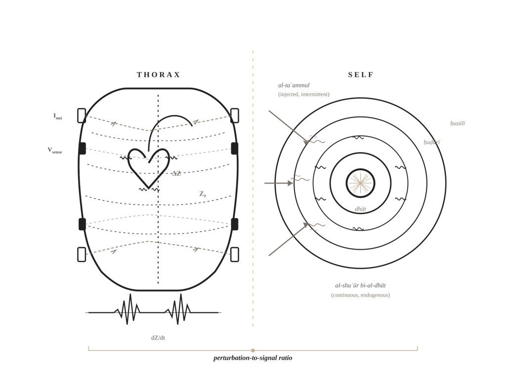 Impedance Cardiography and the Measurement Problem in&nbsp;Self-Knowledge